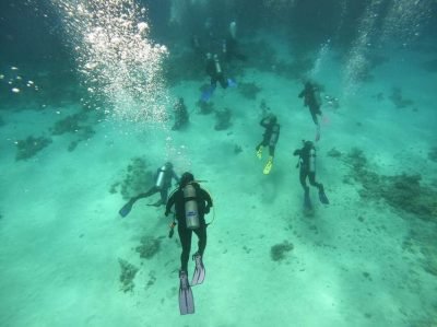 20210323_105653_IMG_4709